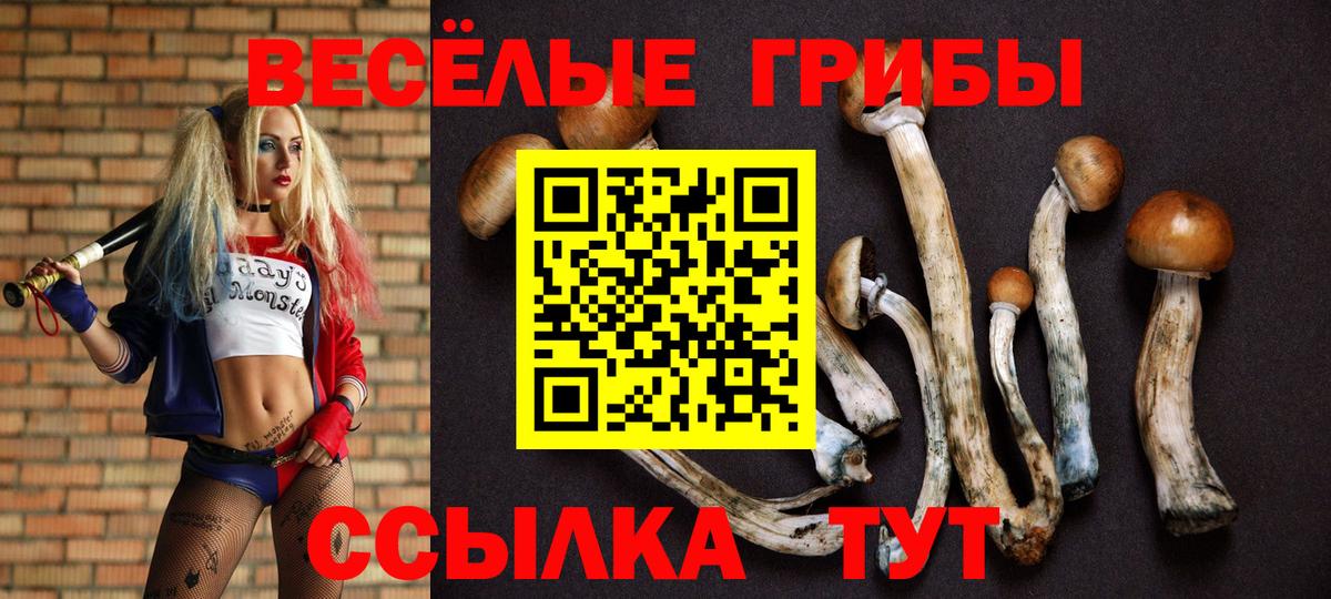 Азнакаево  Псилоцибиновые грибы GOLDEN TEACHER  Вход с VPN 