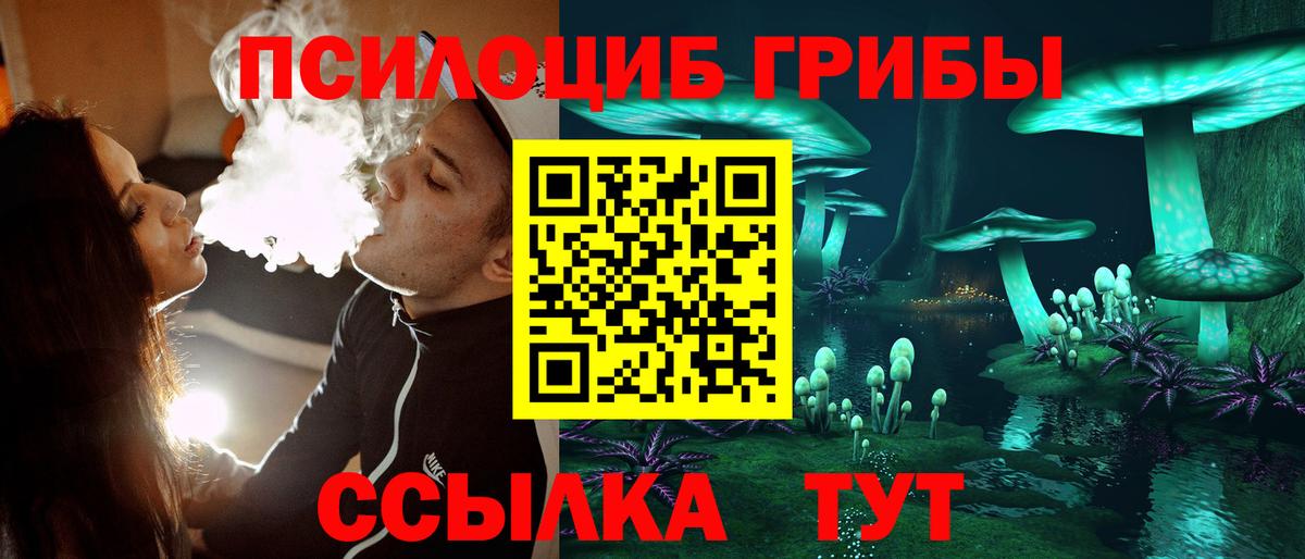 Галлюциногенные грибы MAGIC MUSHROOMS Азнакаево